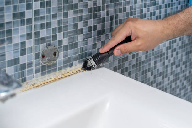 Best Local Mold Removal Service  in Clearlake Riviera, CA